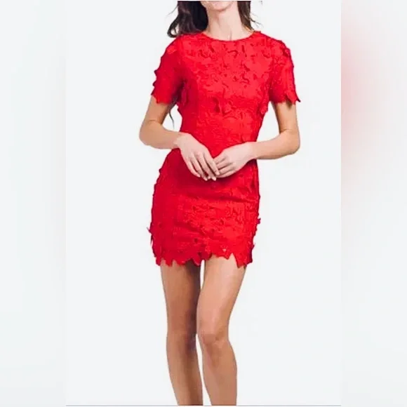 knee length dresses for ladies Floral Embroidered Mini Dress – Endless Rose